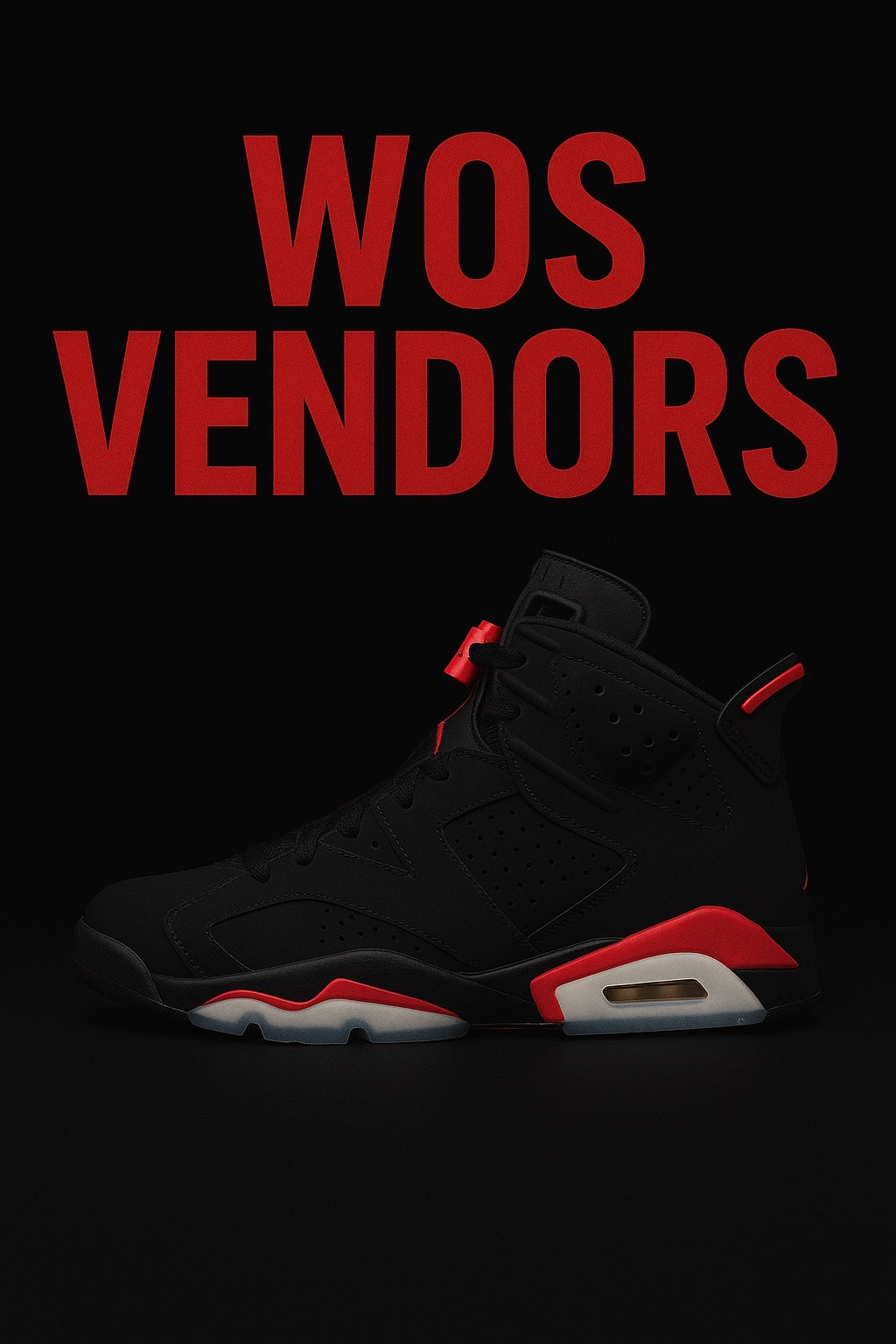 Jordan 6 1:1 Vendor (Multicolorway)